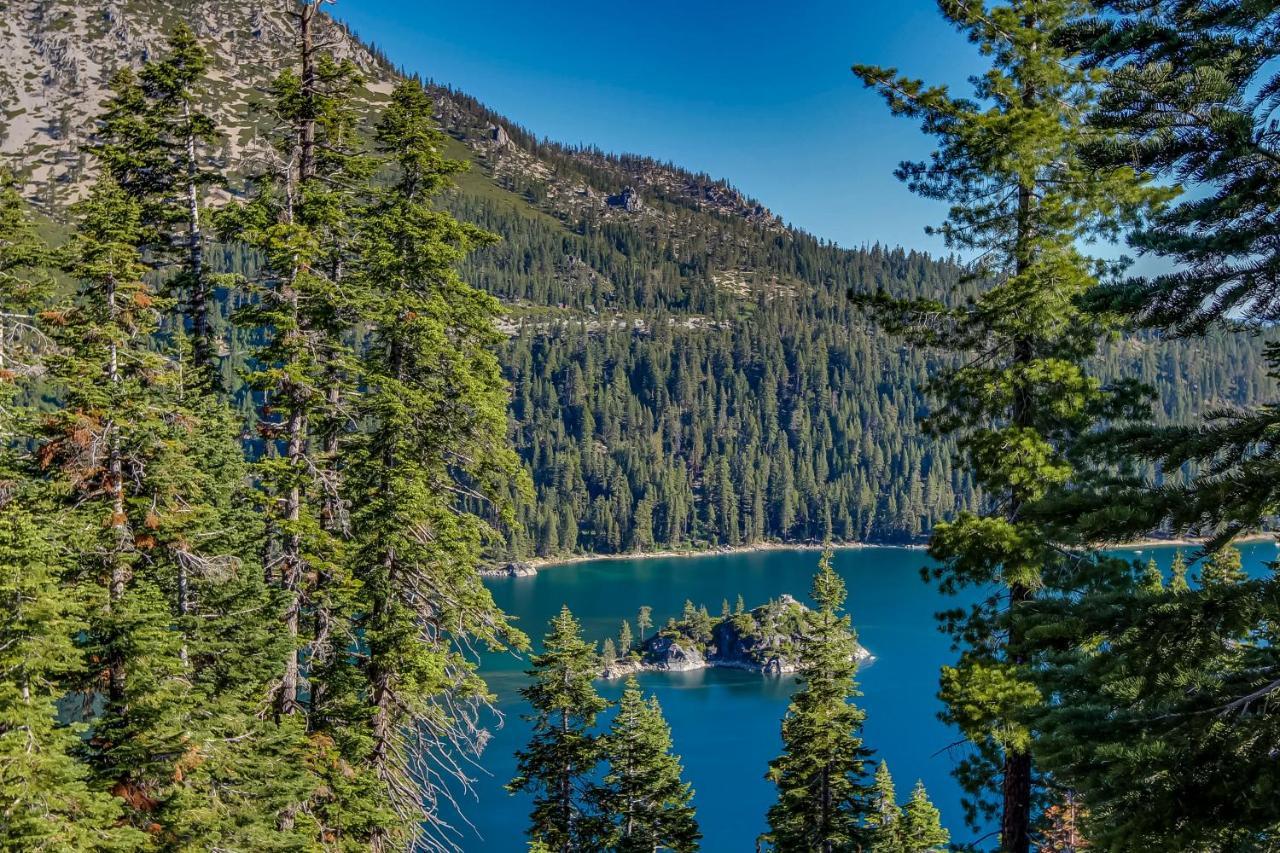 Cozy Cabin Retreat South Lake Tahoe Eksteriør bilde